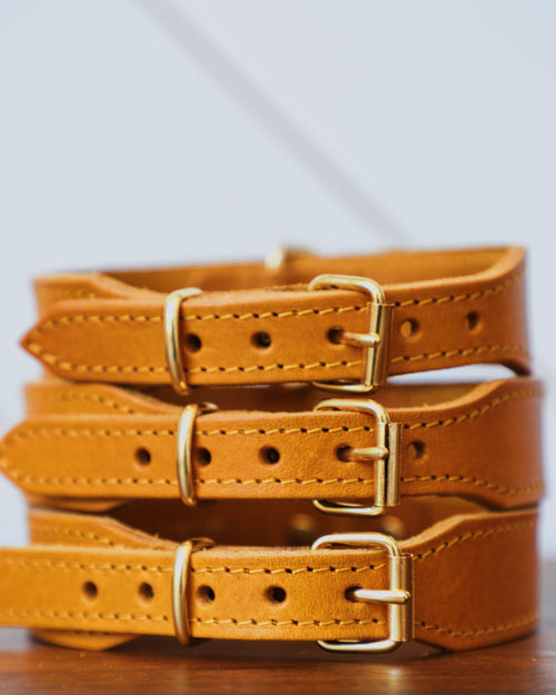 Rocco Leather Collar in Yellow Product Image Detail