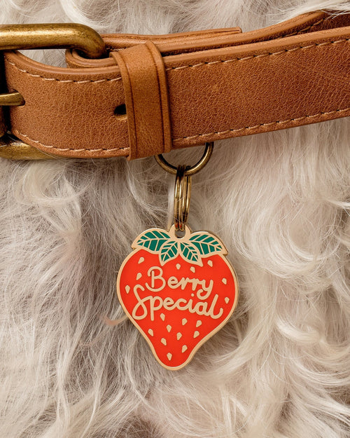Berry Special strawberry dog collar charm made of gold plated brass with red enamel cute fruit pet accessory