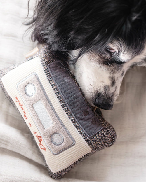 Cassette Tape Dog Toy - A playful and squeaky nostalgic toy for your dog!