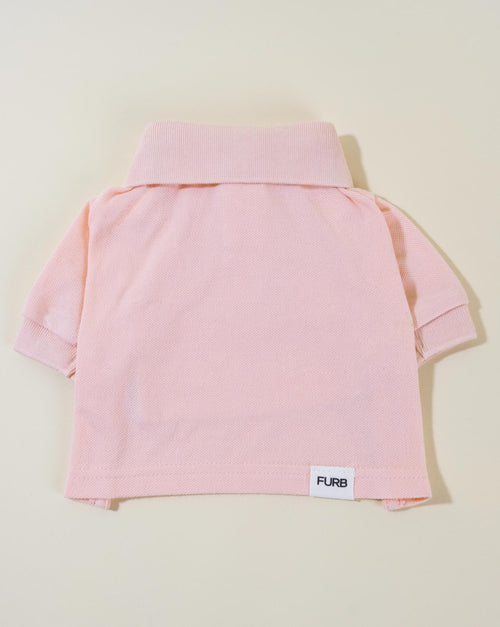 Pink Dog Polo. Yorkie in pink shirt.