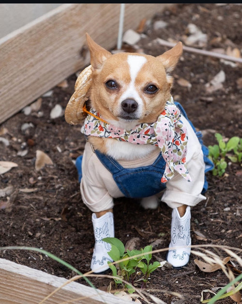 white and multi floral dog bandana and tasteful furb logo