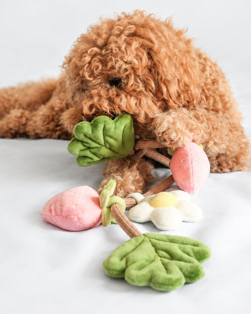 Off the Vine Strawberry Snuffle Rope Toy