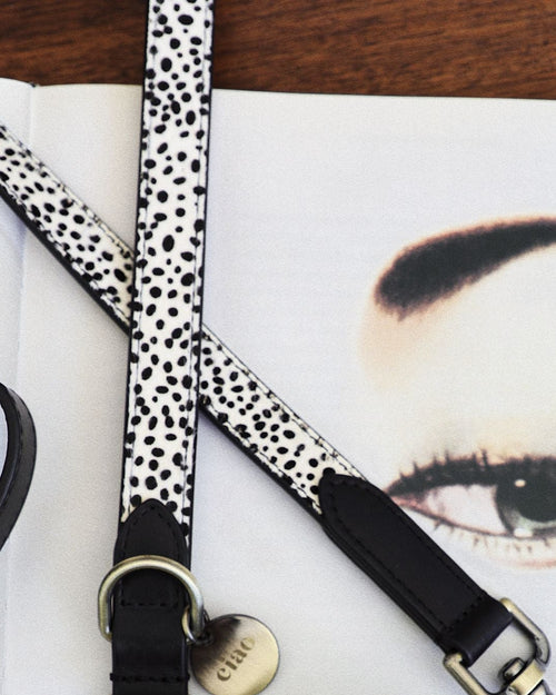 Wylde Black Spotted Dog Bundle