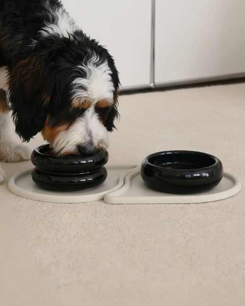  Elegant black ceramic pet bowl set great for stylish feeding spaces . Updated June 2026.