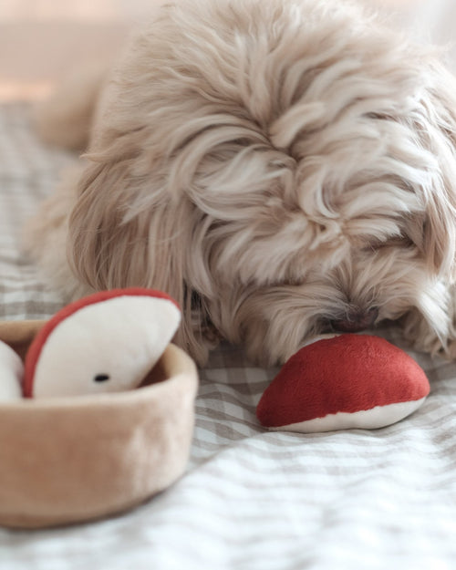 Sweet As Pie Snuffle Dog Toy