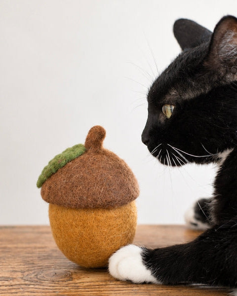 Nuts About You Acorn Wool Dog Toy