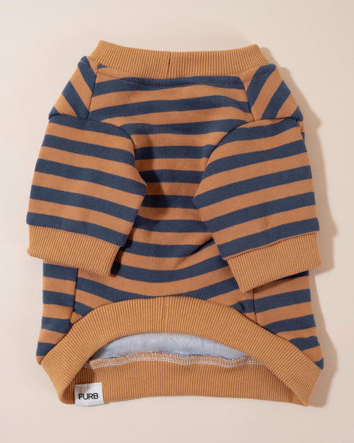 Camden Blue + Goldenrod Striped Dog Sweatshirt