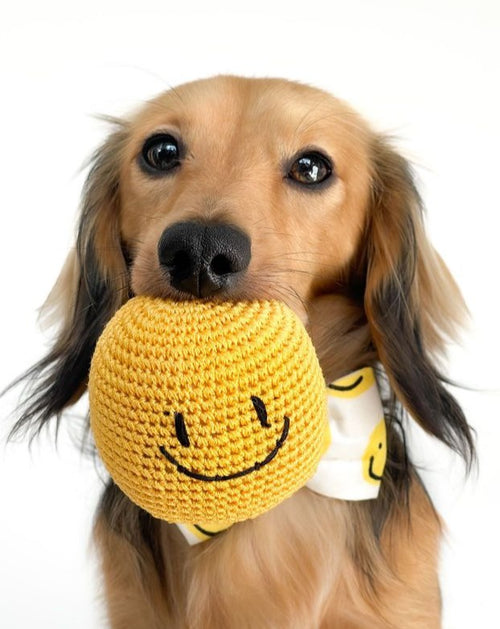smiley face dog bow tie