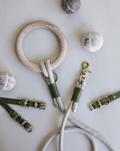 Rope leash connected to round dowel with green leather accents and gold hardware