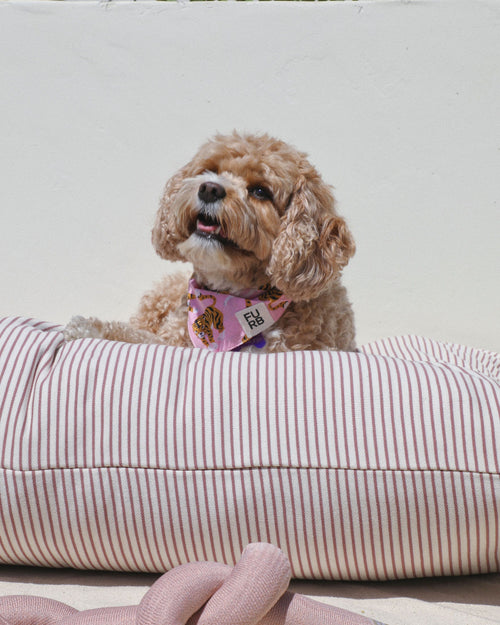 Hello Sailor Rose Striped Dog Bed