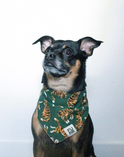 El Tigre Green Print Bandana Image