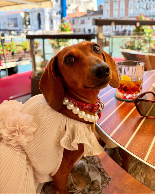 Love Story Petal Pink Pleated Chiffon Dress