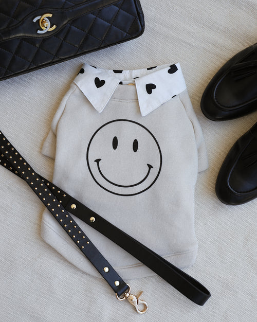 All Smiles Graphic Dog Sweatshirt xs chihuahua clothes