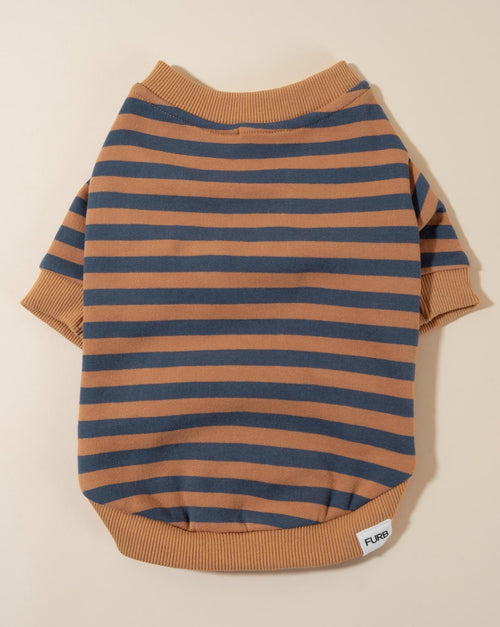 Camden Blue + Goldenrod Striped Dog Sweatshirt