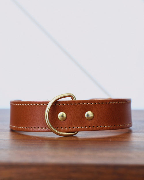 Rocco Leather Collar in Cognac Product Image Detail