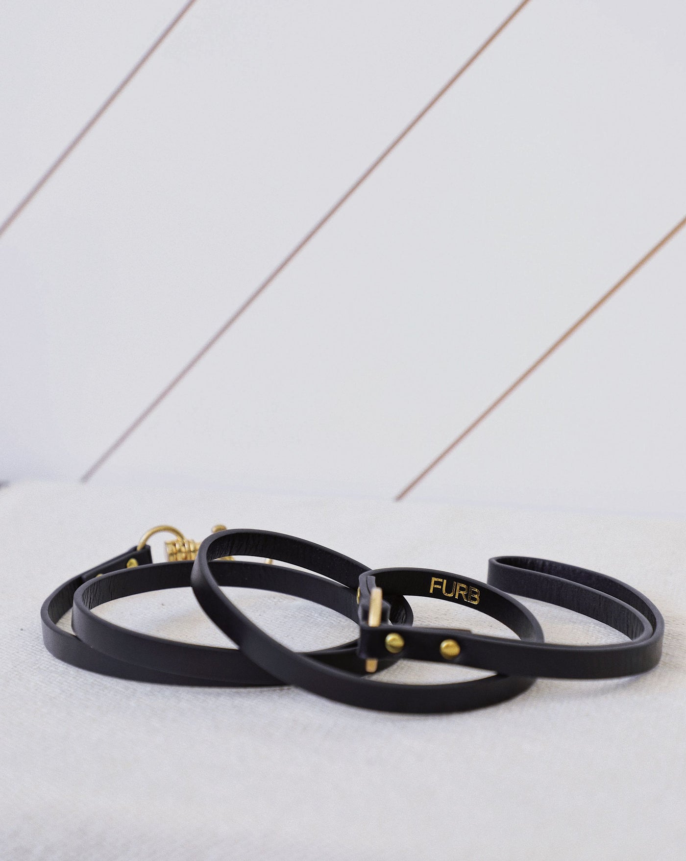 Cannon Black Leather Dog Bundle