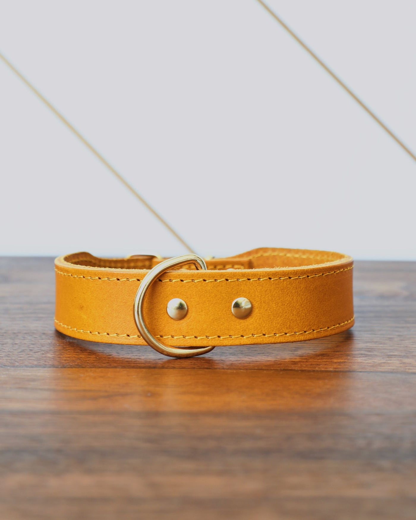 Rocco Leather Collar in Yellow Product Image Detail