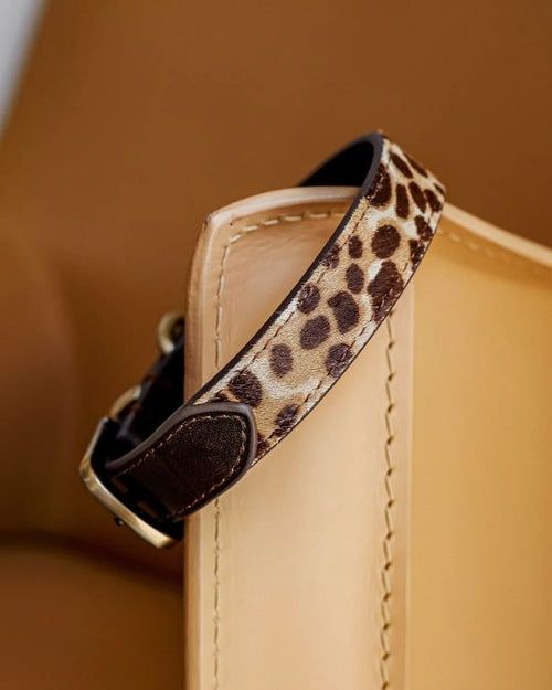 Wylde Brown Spotted Dog Bundle