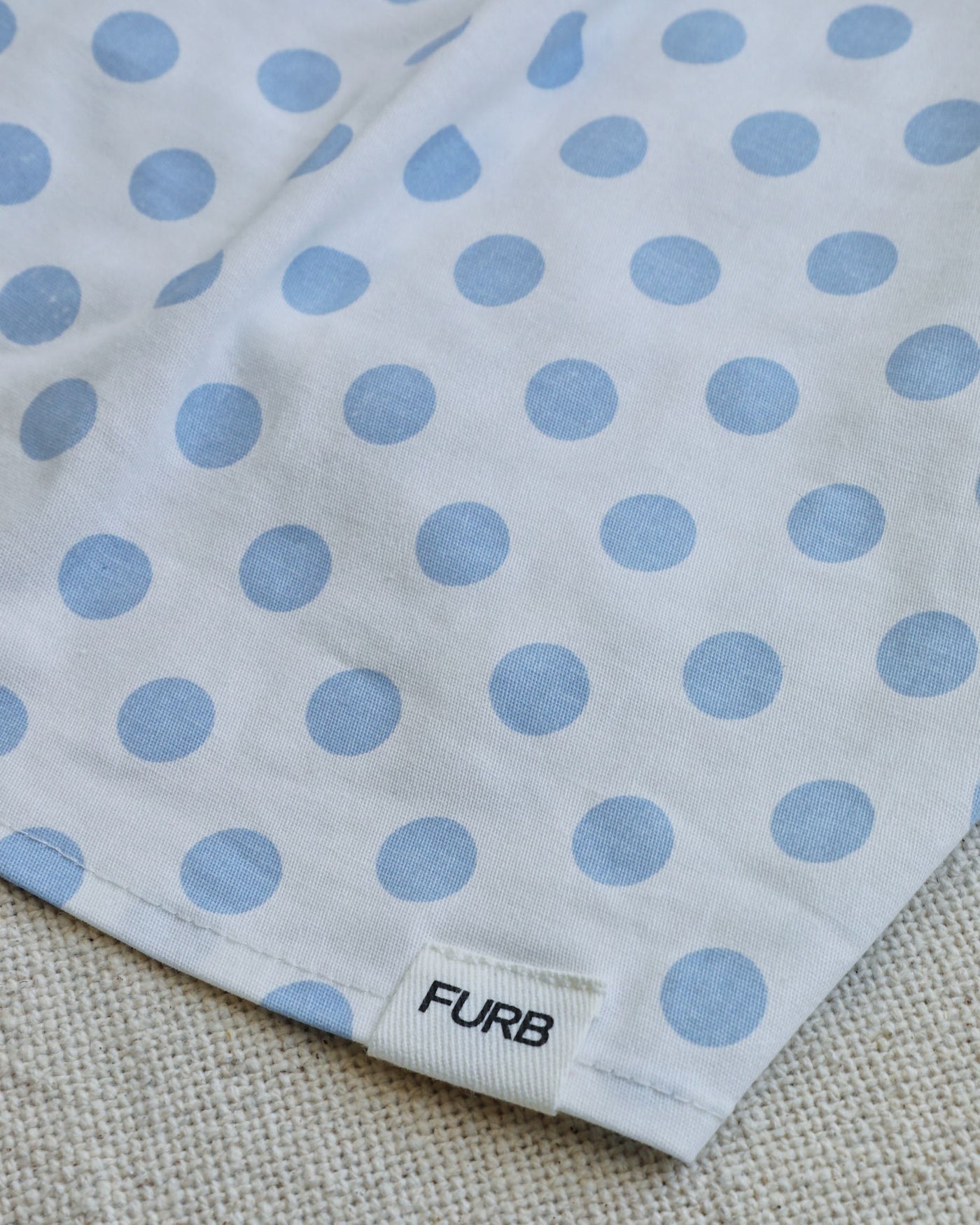 Cleo Baby Blue Polka Dot Dog Shirt Close Up