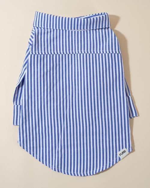 Blue-striped dog shirt, ideal for warm-weather adventures and keeping your pup cool.