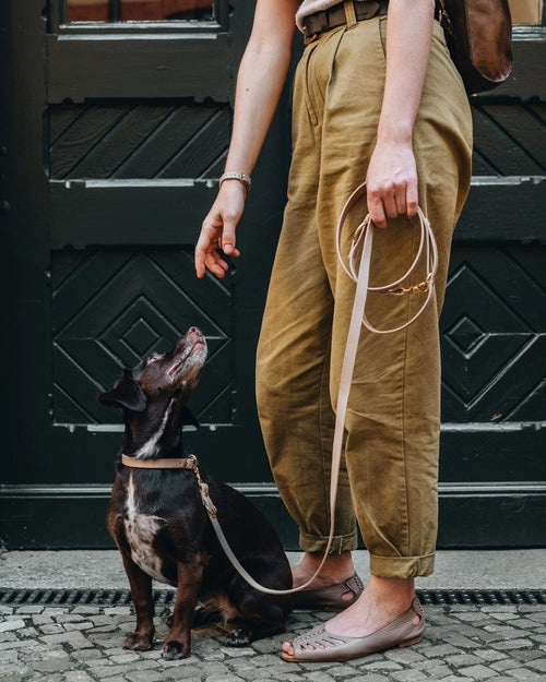 Taupe leather crossbody dog leash hanging off hat on chair