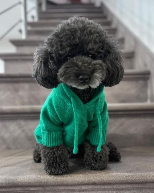 Milan Green Dog Hoodie cute corgi shirts