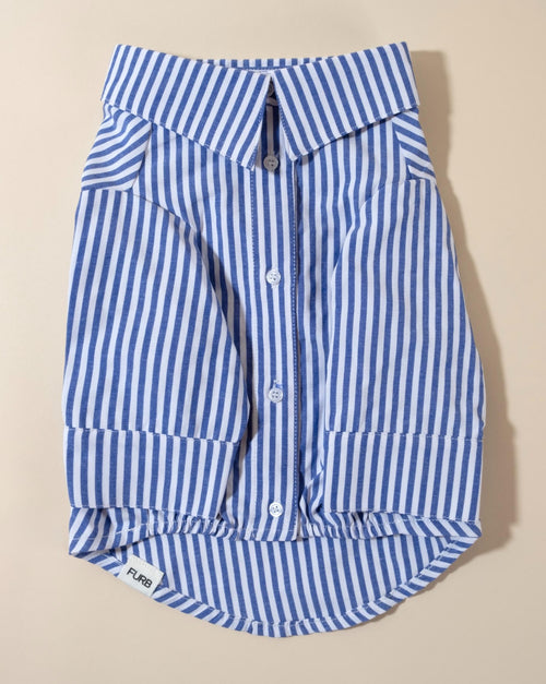 Nantucket blue and white striped button-up dog shirt, perfect for a preppy look.