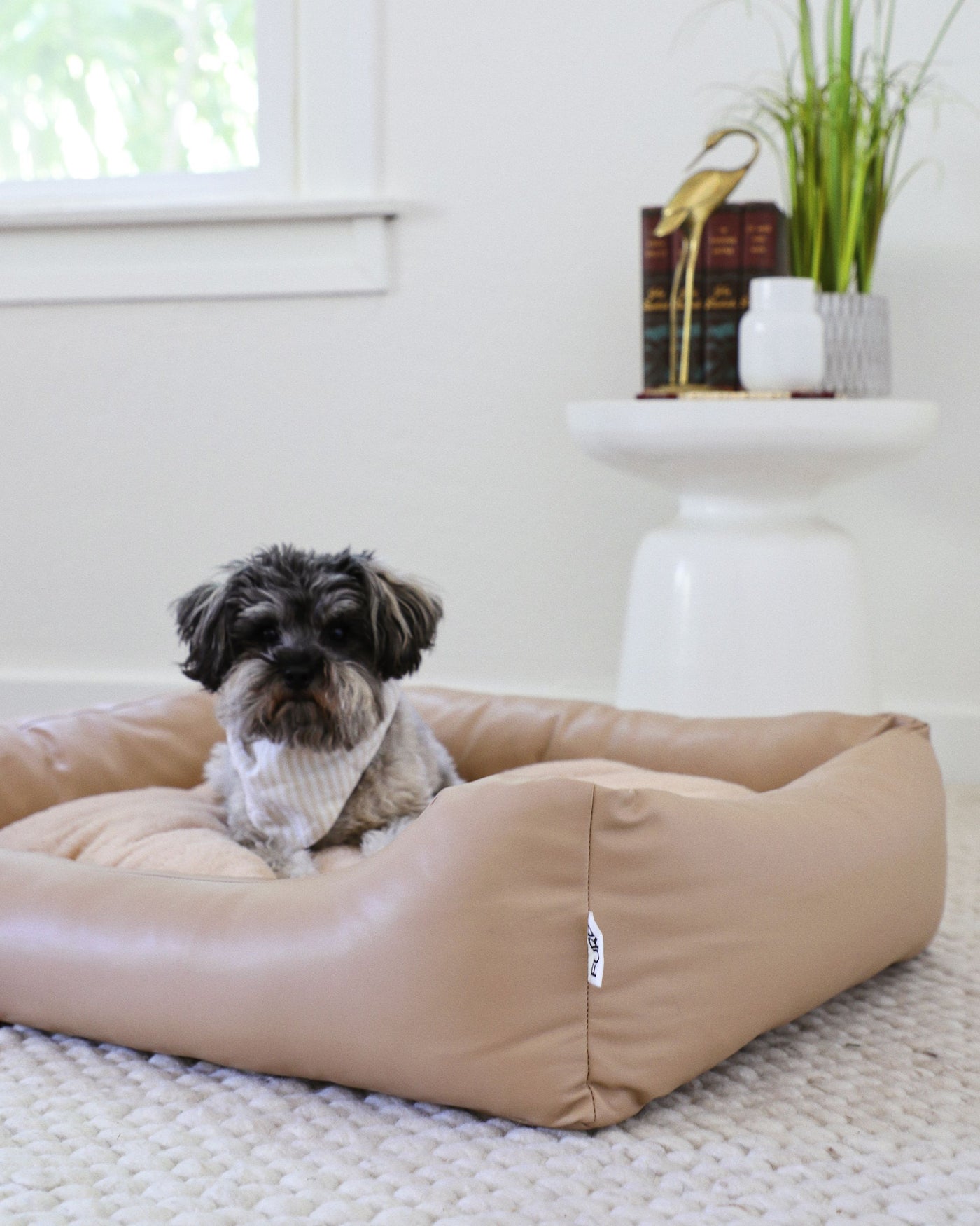 All Curled Up Tan Structured Bed