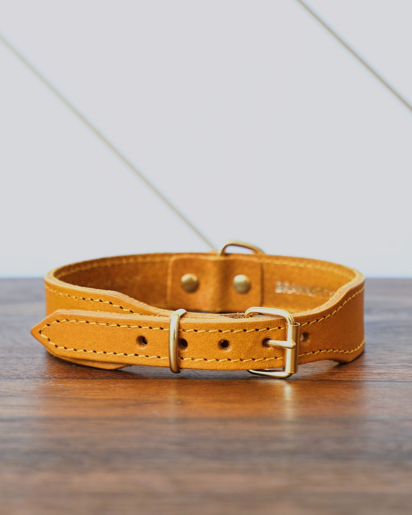 Rocco Leather Collar in Yellow Product Image Detail