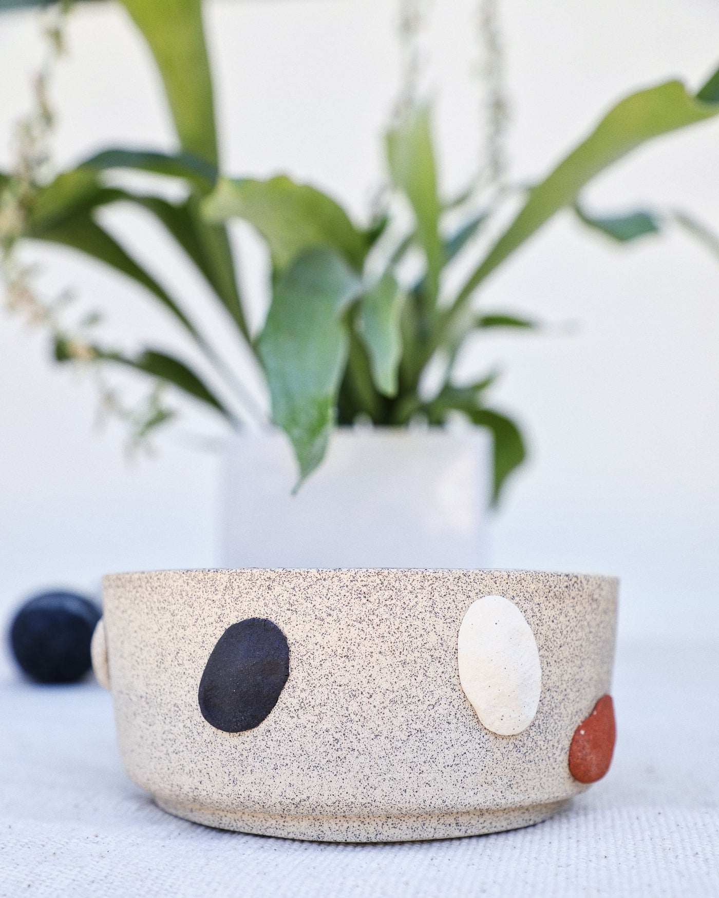 Laurel Canyon Stone Handmade Dog Bowl