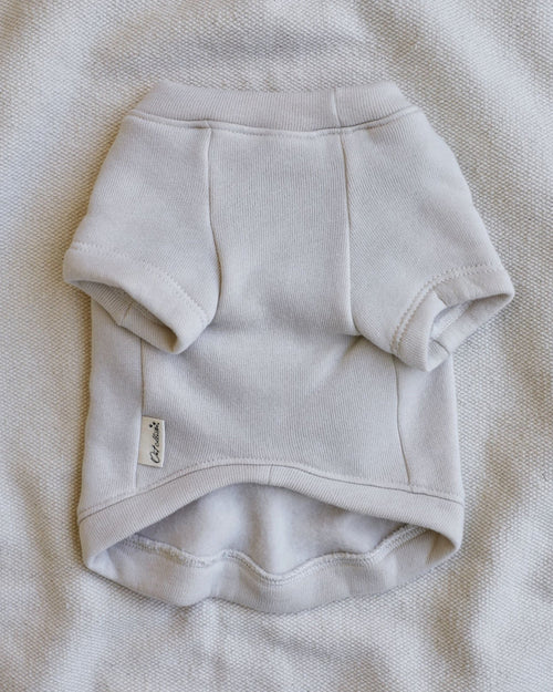 Howdy Pawtner Dog Sweatshirt beagle outfit