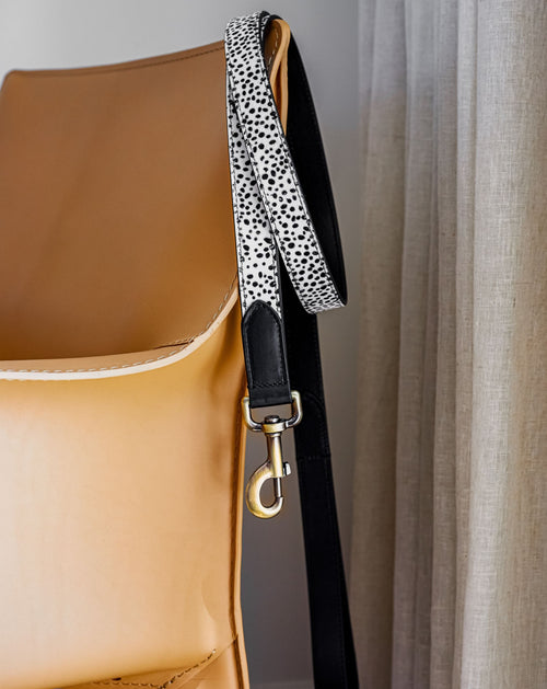 Durable black spotted collar and leash kit, designed for comfort and style, ideal for dogs like Beagles and Cocker Spaniels.