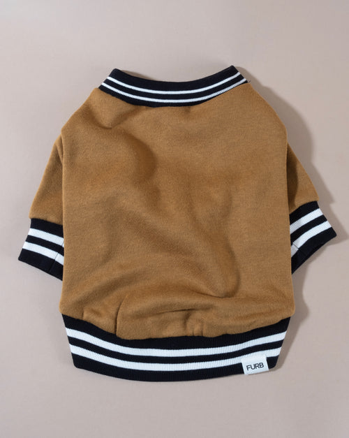 Brown dog sweatshirt with varsity lettering, perfect for small to medium dogs like Miniature Schnauzers