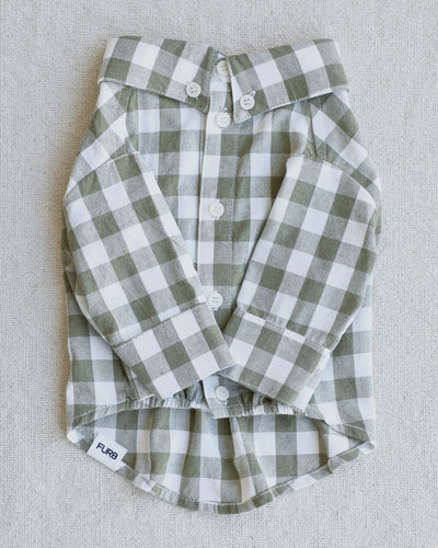 Sylvan Moss Gingham Dog Shirt Product Image