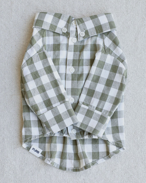 Sylvan Moss Gingham Dog Shirt, a great fit for small dogs like chihuahua, adding a stylish touch to any look.