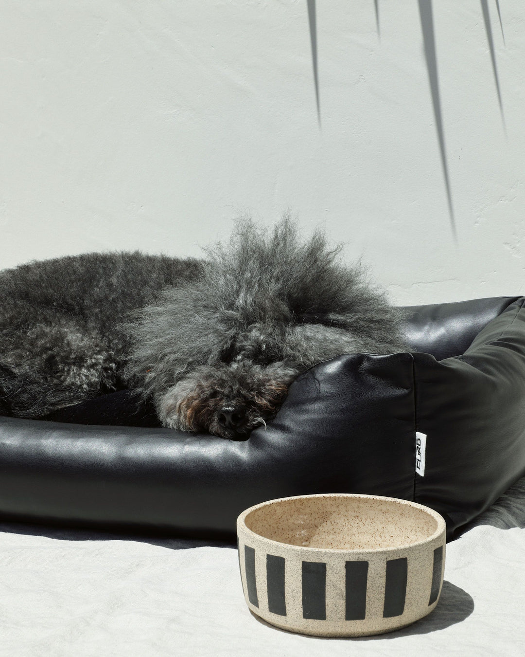 Black Structured Couch Dog Bed - Modern & Cozy Lounging – FURB