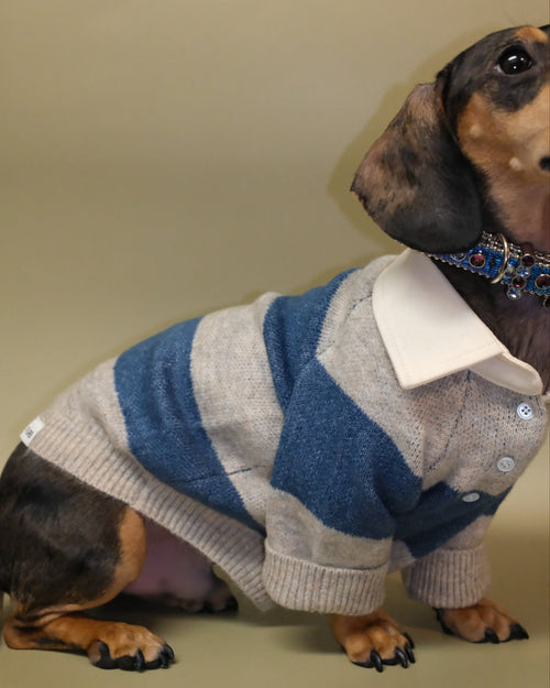 Everyday striped rugby dog knit designed for comfort and movement, versatile for casual wear, loved by corgis, cavaliers, and mixed breeds