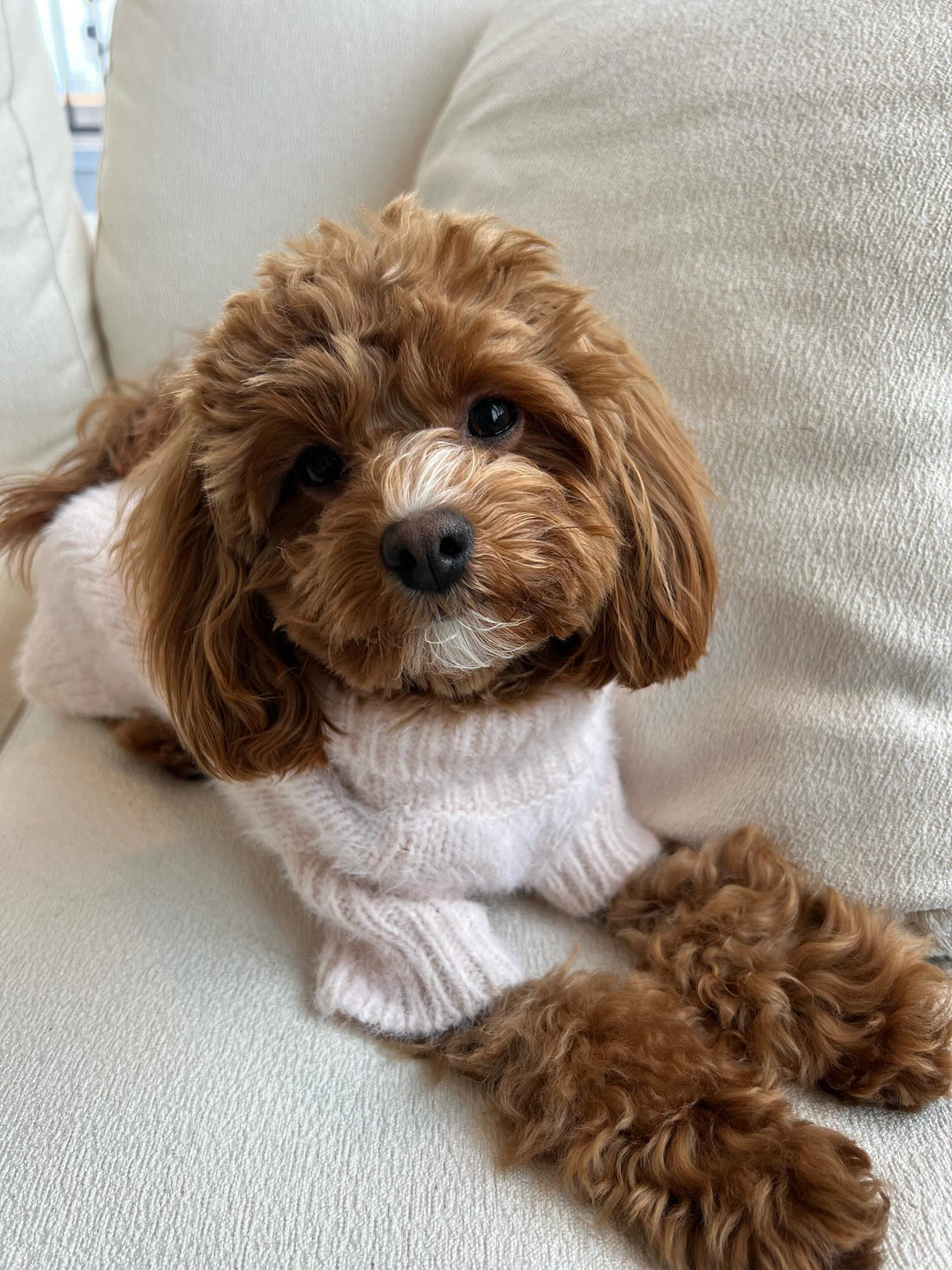 Blush Pink Eyelash Knit | Adorable, Affordable Dog Turtleneck – FURB