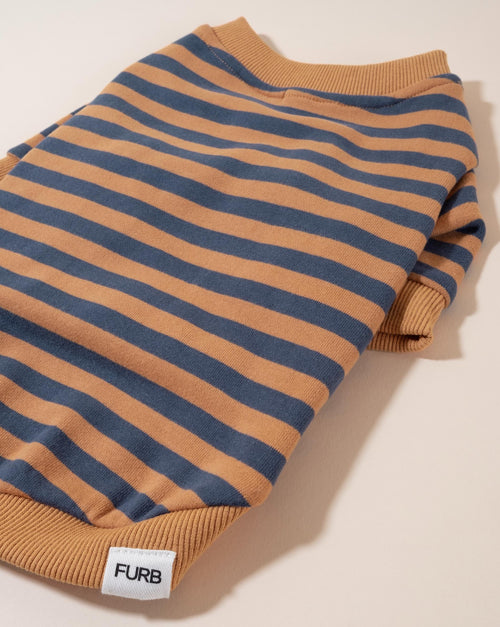 Camden Blue + Goldenrod Striped Dog Sweatshirt