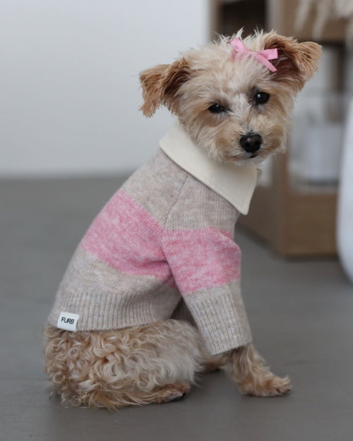 Prep School Pup Pink Striped Rugby Sweater