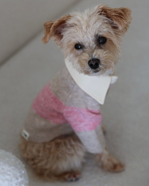 Prep School Pup Pink Striped Rugby Sweater