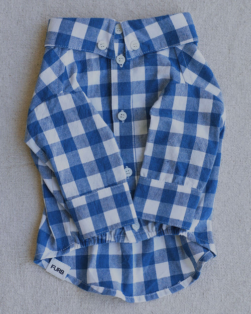 Sylvan French Blue Gingham Dog Shirt for corgis