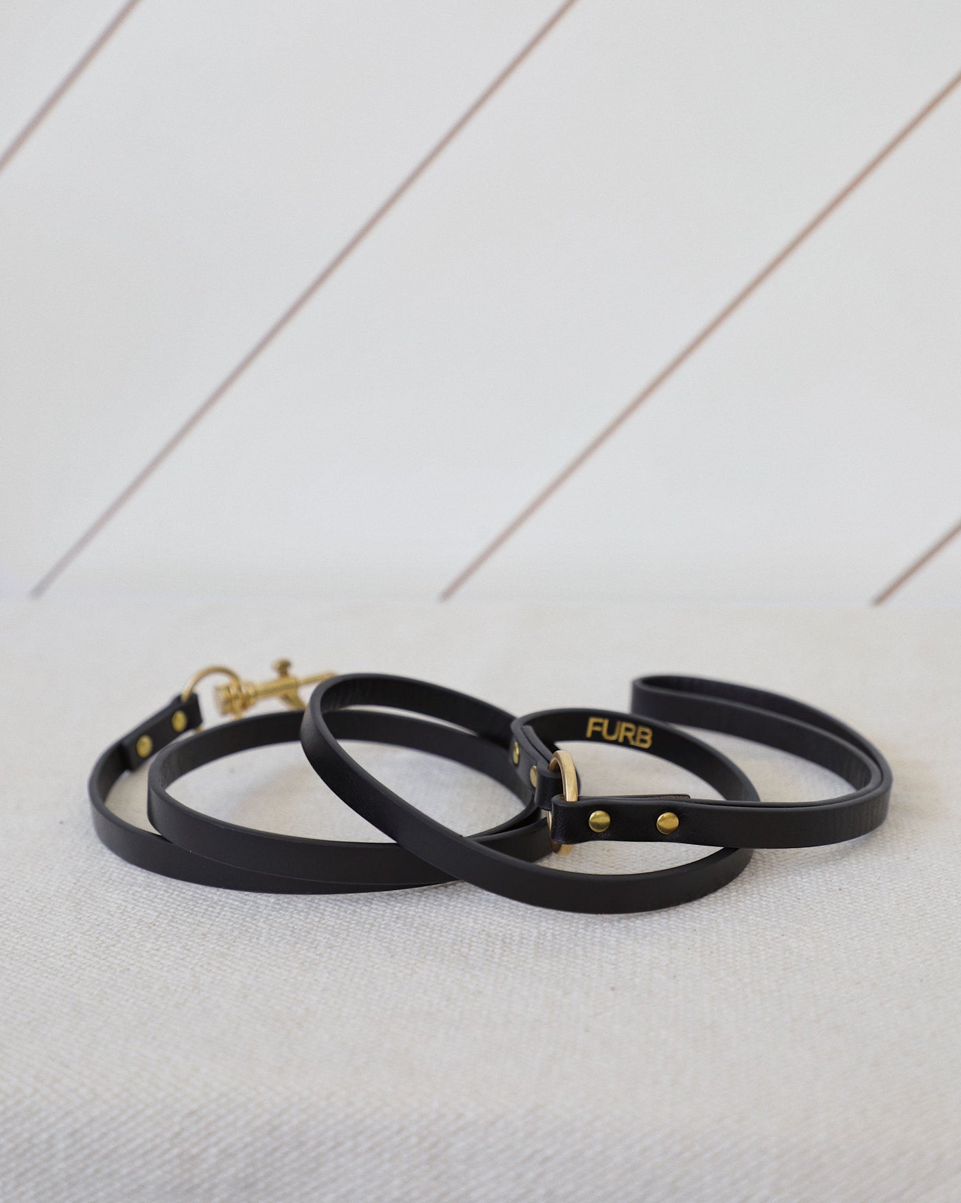 Cannon Black Leather Dog Leash