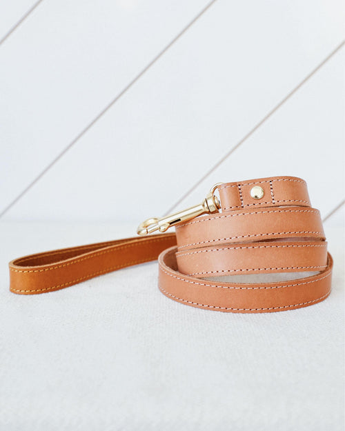 Rocco Leash in Tan and Yellow Leather Product Image