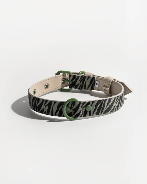 High-quality green zebra collar for stylish pets like Pugs and Schnauzers.