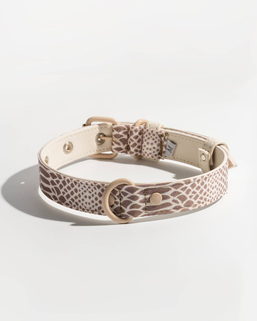 Chic neutral snake dog collar for fashionable pups like Schnauzers and Yorkies.