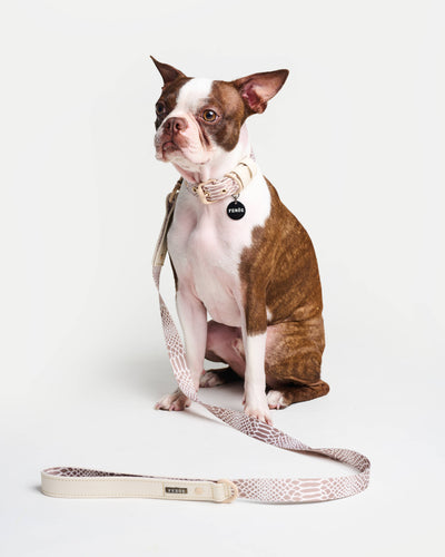 Fierce + Fab neutral snake dog leash, designed for small and medium-sized dogs like French Bulldogs and Beagles.