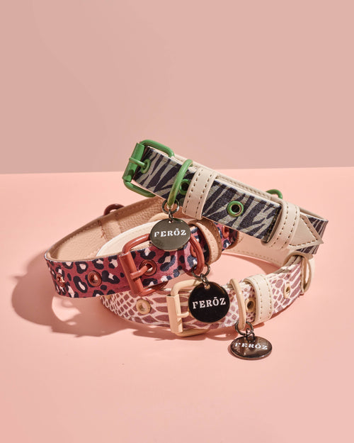 Fierce + Fab green zebra collar for small to medium-sized dogs, including Poodles and Bulldogs.