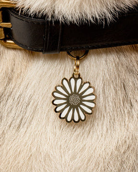 Gold and white daisy dog collar charm floral enamel pet accessory gold plated brass charm