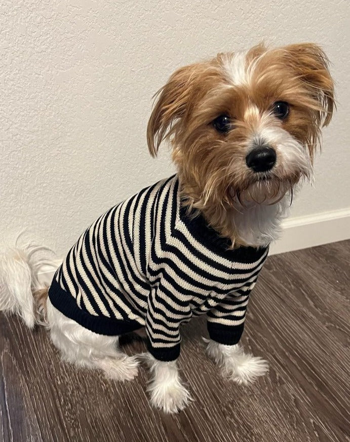 Like A Bandit Black Striped Dog Sweater